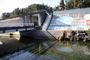 早朝の釜石市街地の写真